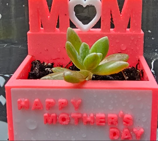 Petals for Mom: 3D Printed "MOM" Planter Box